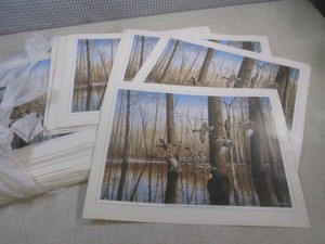 (A-4) Stack of New Wildlife Scene Placemats12 x 16