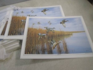 (A-4) Stack of New Wildlife Scene Placemats12 x 16