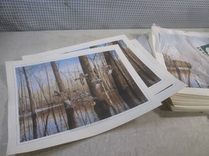 (A-4) Stack of New Wildlife Scene Prints12 x 16