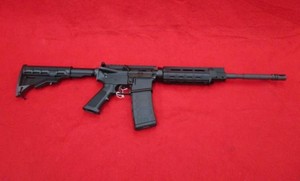 APF AR-15 223 Wylde Rifle
