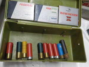 Federal and Winchester Slugs and Extra in a Plastic Case