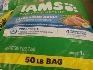 50 lb. Bag IAMS Large Breed Adult Dog Food