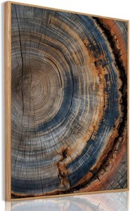 $66 Tree Ring Wall Art Framed, Modern Nature Decor, Easy to Hang 24x36 Inch