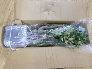 New Artificial Olive Tree