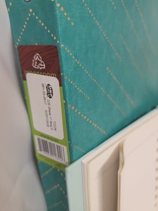 File Folders, lined journals, dot grid journals and white out