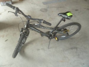 Trek Bicycle 26