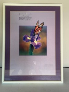 Framed Butterfly Iris Print Nathaniel Hawthorne Quote Wall Art