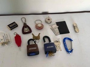 Mixed Keychain & Hardware Lot Schlage Padlocks LiftMaster Tool