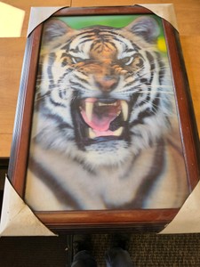 Framed Holographic Image Assortment