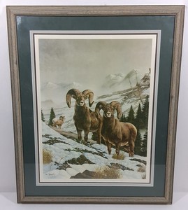 Les Grunwald Bighorn Sheep Wildlife Print 