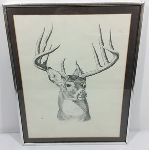 Original Hand-Drawn Whitetail Deer Buck Portrait
