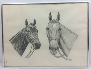 Signed Peters Original Horse Portrait Pencil Drawing