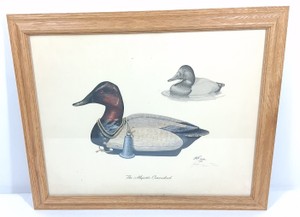 Jack Hahn The Majestic Canvasback Signed & Numbered Wildlife Print  1981
