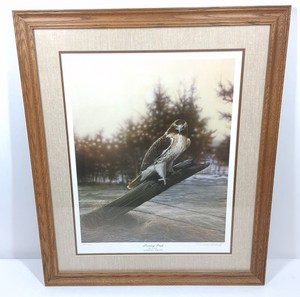 Randall J. Raduenz Morning Perch Red-Tail Hawk Signed & Numbered Wildlife Print