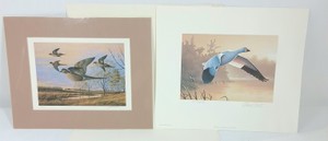 Signed Wildlife Art Prints incl. Daniel Smith 1988 Federal Duck Stamp Lesser Snow Goose