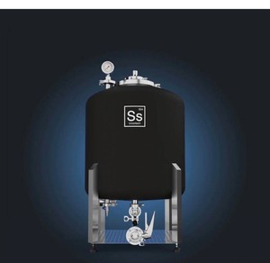 Ss Brewtech Brite Tank 2.0