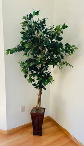O - Artificial Tree - 6 Faux Indoor Plant in Woven Planter