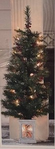 LLK - Set of 2 Modern Southern Home Pre-lit Porch Trees