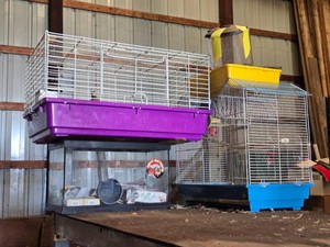 Cages, Tanks, and Animal Habitat Supplies