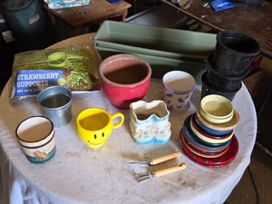 Gardening Tools and Accessories Assortment including Strawberry Supports, Various Planters and Pots