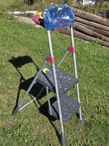 2-Step Folding Step Stool with Work Platform