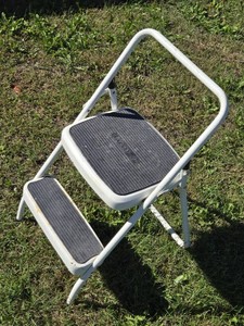 Short Cosco 2-Step Folding Ladder