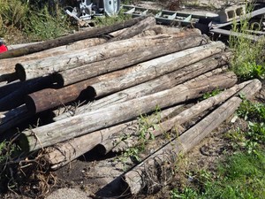 Wooden Utility Poles Various Sizes Varying in Length from 6 or so to 8