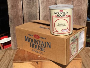 MOUNTAIN HOUSE - Blueberry Cheesecake - Freeze Dried Food