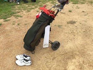 RAWLINGS - PURE GOLD - Right Hand Golf Club Set with Cart