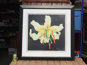 LOWELL NESBITT SN Large LILY Print 39 x 39