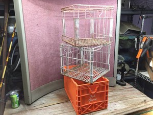 (3) Vintage Milk Crates - Marigold - Flynn