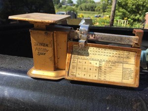 Vintage TRINER - Airmail Accuracy - Scale