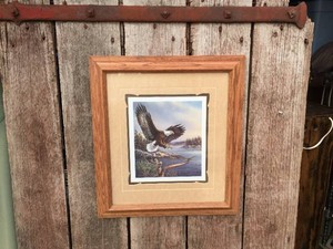 JAMES MEGER - Framed Eagle Print 17 x 19
