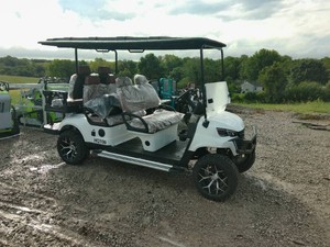 SDLC100 GOLF CART&nbsp WHITE