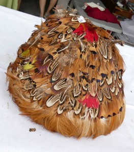 vintage mid-century pheasant feather pillbox hat featuring layered brown, black, and vibrant red plumage