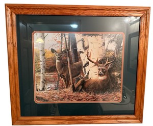 Framed Whitetail Buck & Doe Woodland Wildlife Print
