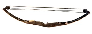 Vintage Compound Bow