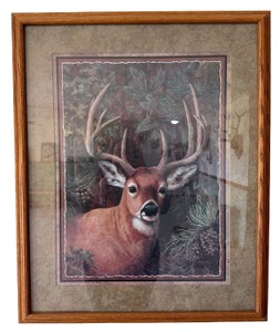 Joan Cole Framed Whitetail Buck Wildlife Print  Rustic Woodland Deer Art