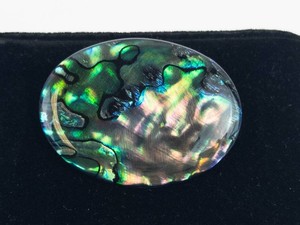Abalone Shell Oval Cabochon