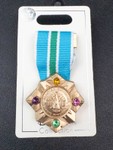 Disney Parks Collection Master Sorcerer Magic Kingdom Trading Pin