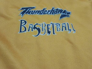 VINTAGE THUNDERHAWK BASEBALL JERSEY AND BUTTONS