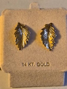 14 Kt Earrings