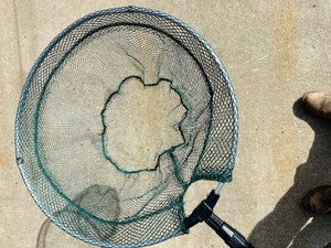 Lightweight Telescopic  Collapsible FISHING NET - New, untagged