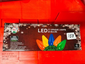 CHRISTMAS LIGHTS  25 LED - Multi - C7 - Opaque