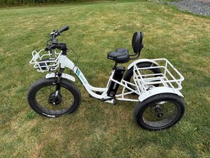 Emojo Caddy 48V Electric Cargo Trike With 720Wh Battery