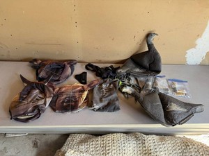Waterfowl Decoys, Blackhawk Holster & Hunting Gear Mixed Lot