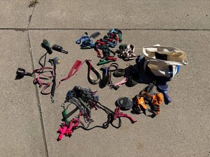 Equestrian Horse Grooming Supplies & Tack Mixed Lot