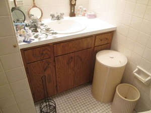 Bathroom contents