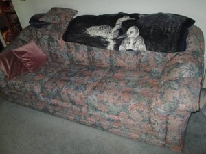 Floral Upholstered Queen sized 3-cushion hide-a-bed sofa with accent pillows and throw blankets