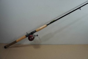 Shimano Compre Fishing Pole with Abu Garcia Ambassadeur 6600SSC3 Reel